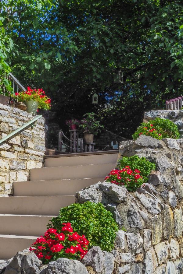 Vikos Hotel Monodendri Extérieur photo