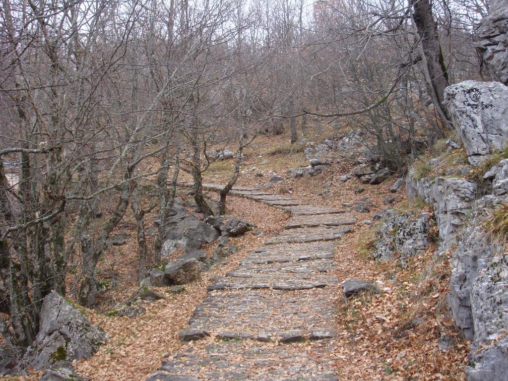 Vikos Hotel Monodendri Extérieur photo