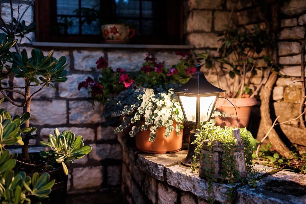 Vikos Hotel Monodendri Extérieur photo